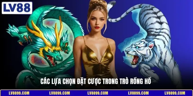 Các lựa chọn đặt cược trong trò Rồng Hổ