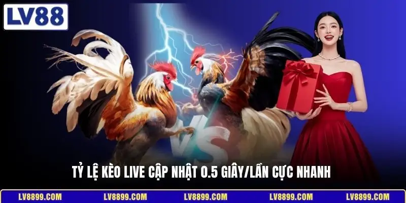 Tỷ lệ kèo live cập nhật 0.5 giây/lần cực nhanh